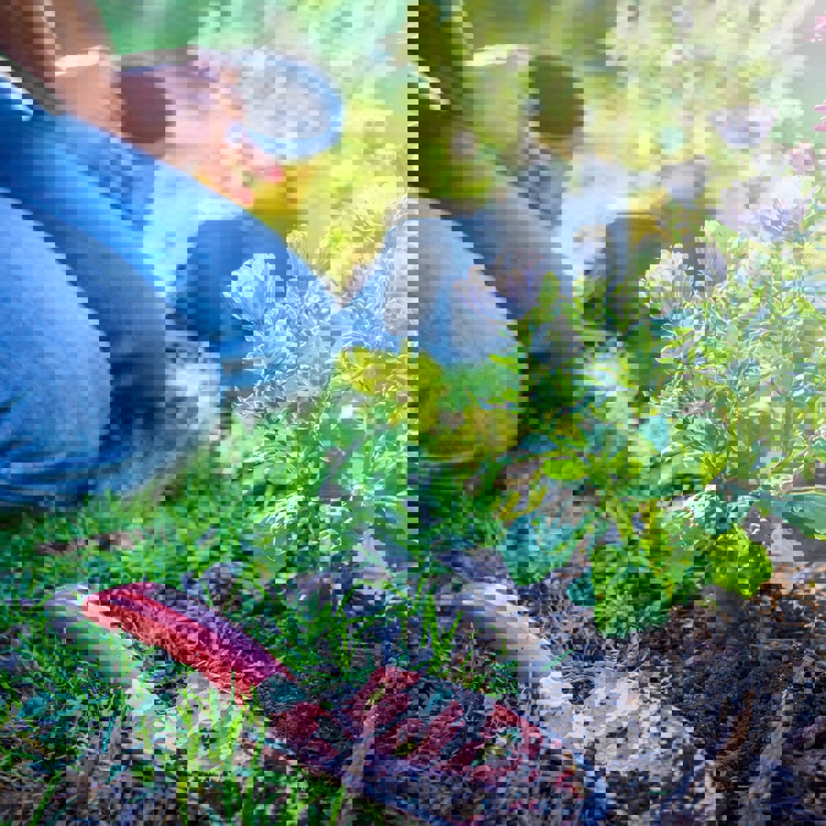 Chemical Commitments